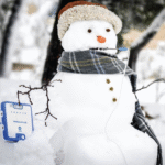 Einstein Veri Toplama ve Analiz Setleri